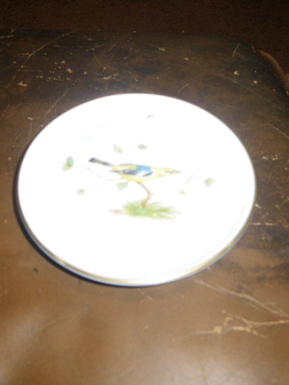 Vintage Miniature Decorative China Plate w/ Goldfinch Graphics